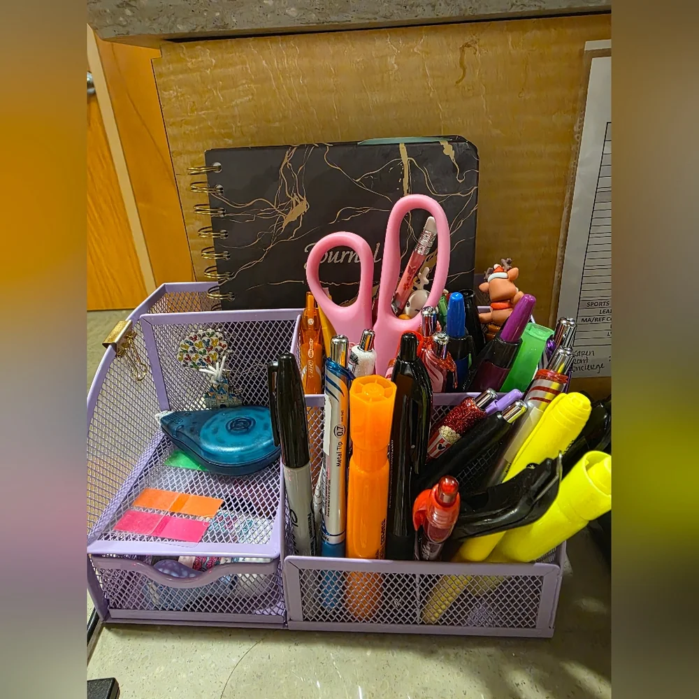 Purple Mesh Desk Organizer